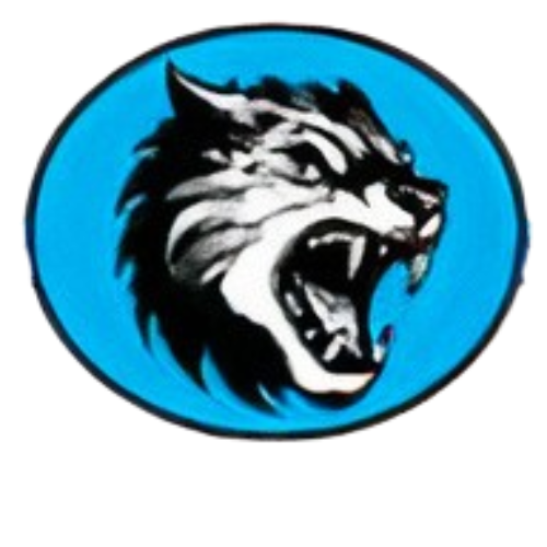 Jossy Shield Securities Logo